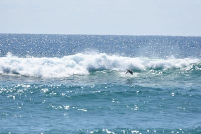 DSC_9077.JPG