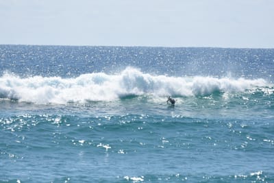 DSC_9078.JPG