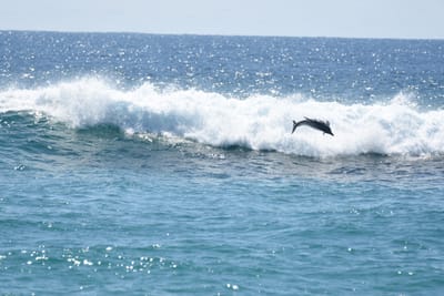DSC_9079.JPG