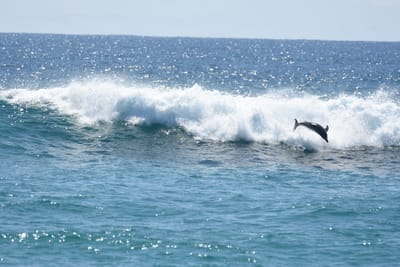 DSC_9080.JPG