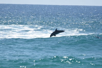 DSC_9086.JPG