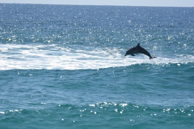 DSC_9088.JPG