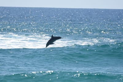 DSC_9090.JPG