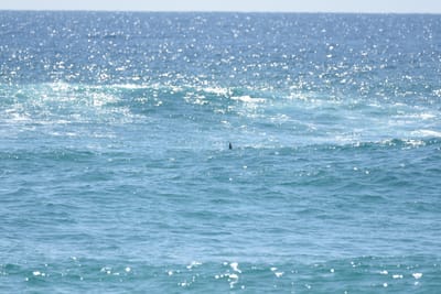 DSC_9092.JPG