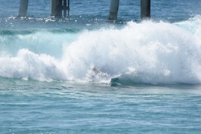 DSC_9095.JPG