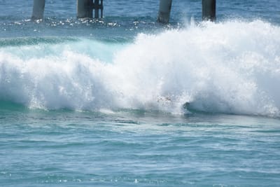 DSC_9096.JPG