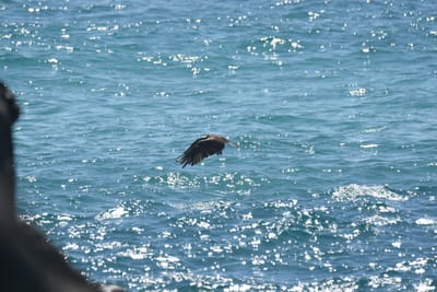 DSC_9120.JPG