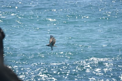 DSC_9121.JPG