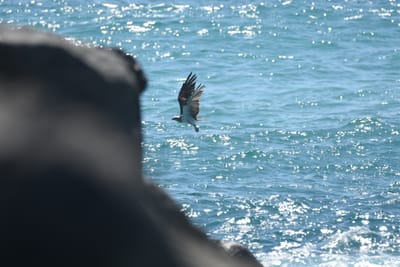 DSC_9122.JPG
