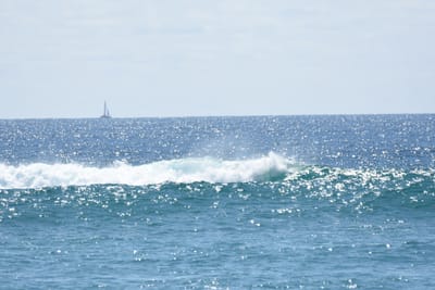 DSC_9123.JPG