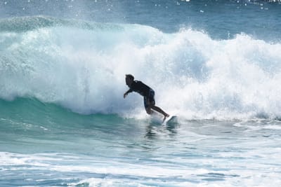 DSC_9124.JPG