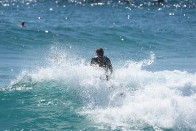 DSC_9151.JPG