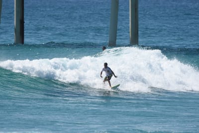 DSC_9229.JPG