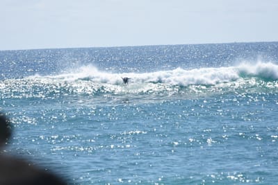 DSC_9232.JPG