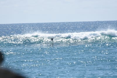DSC_9233.JPG