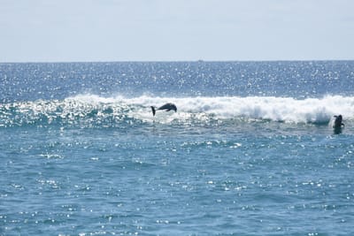 DSC_9242.JPG