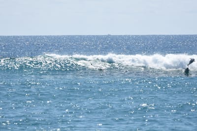 DSC_9244.JPG