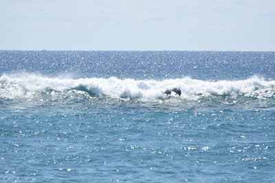 DSC_9247.JPG
