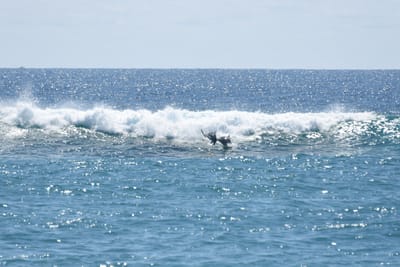 DSC_9248.JPG