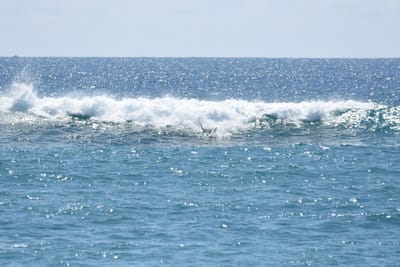 DSC_9249.JPG
