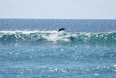 DSC_9258.JPG