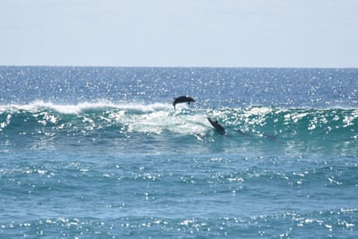 DSC_9259.JPG
