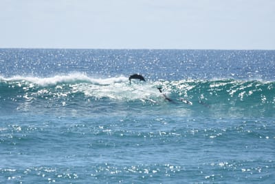 DSC_9260.JPG