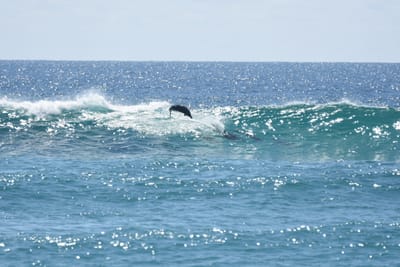 DSC_9261.JPG