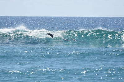 DSC_9262.JPG