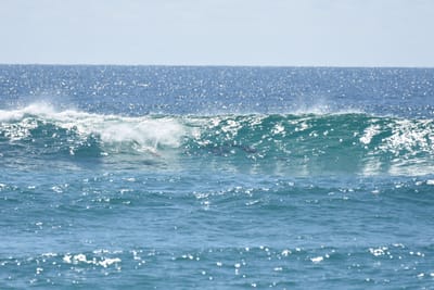 DSC_9264.JPG
