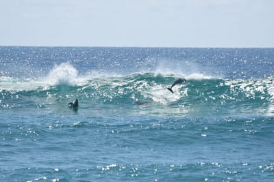 DSC_9267.JPG