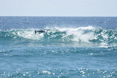 DSC_9273.JPG