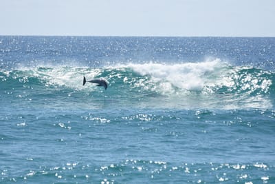 DSC_9274.JPG