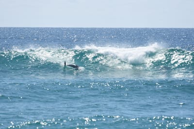 DSC_9275.JPG