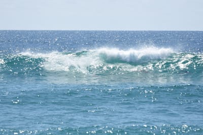DSC_9276.JPG