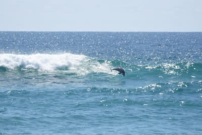 DSC_9285.JPG