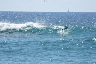 DSC_9288.JPG