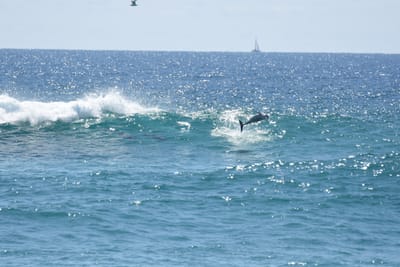 DSC_9289.JPG