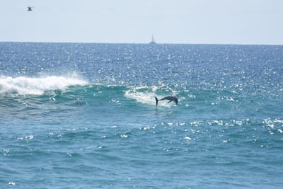 DSC_9291.JPG