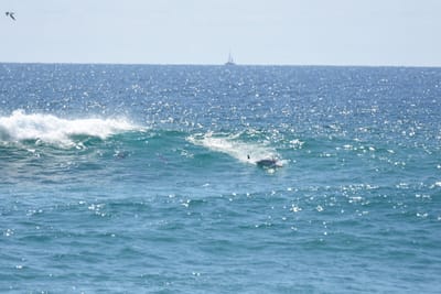 DSC_9292.JPG
