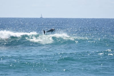 DSC_9298.JPG