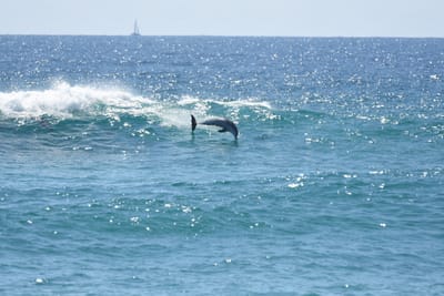 DSC_9301.JPG