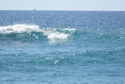 DSC_9302.JPG