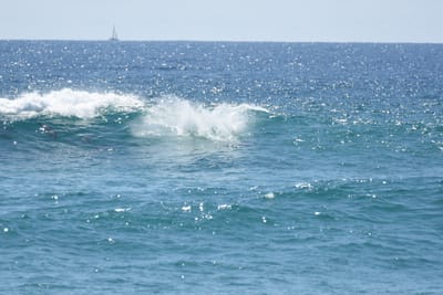 DSC_9303.JPG