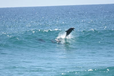 DSC_9304.JPG