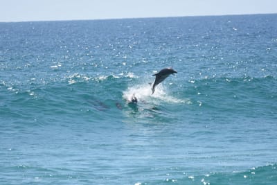 DSC_9305.JPG