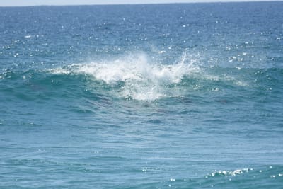 DSC_9313.JPG