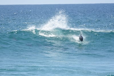 DSC_9314.JPG
