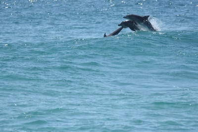 DSC_9321.JPG