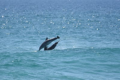 DSC_9325.JPG